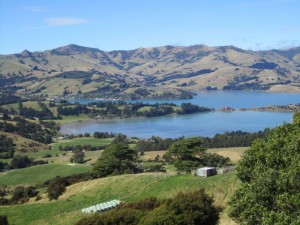 Akaroa - a jewel 