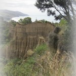 Cathedral Cliffs