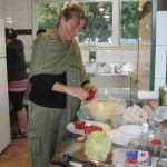 communal kitchen in campervan land