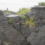 Pancake Rocks South Island