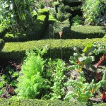 veggie garden The Giant's House