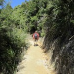 walking track Abel Tasman park