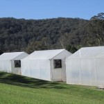 Existing greenhouses